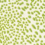 AMACO Crawls - CR-41 - Lime - 1  pint